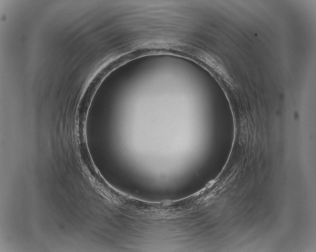 X0000067520976200604101322