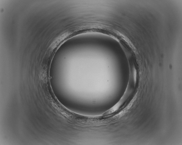 X0000067520977200604101322