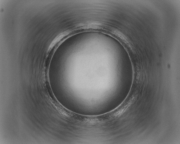 X0000067520978200604101322