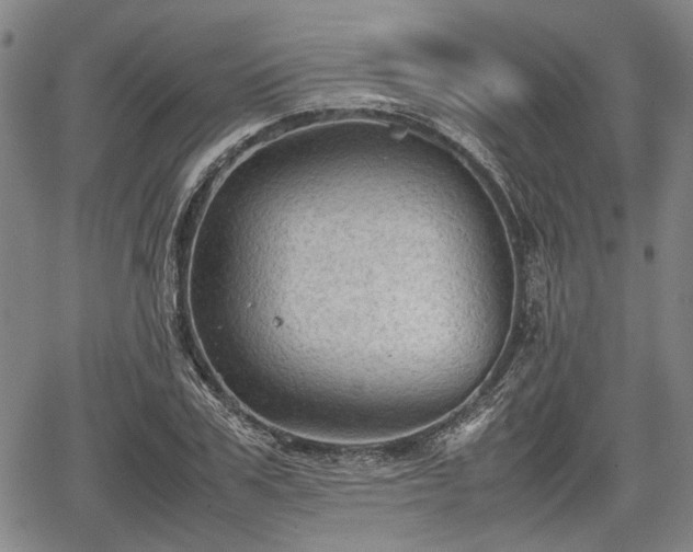 X0000067520979200604101322