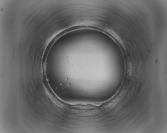 X0000067520980200604101322