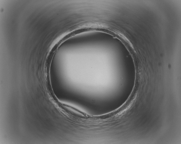 X0000067520981200604101322