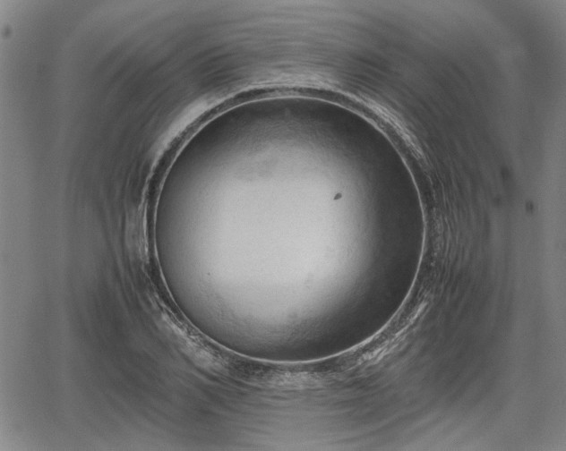 X0000067520982200604101322