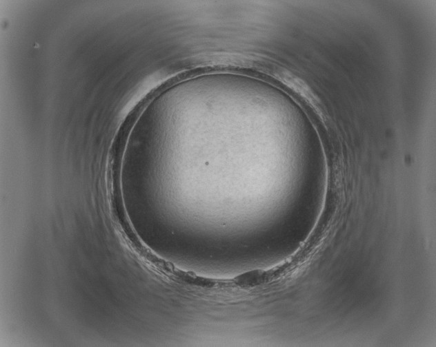 X0000067520983200604101322