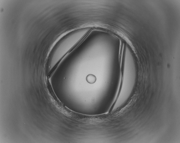 X0000067520984200604101322