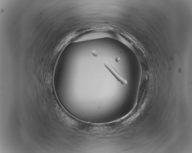 X0000067520985200604101322