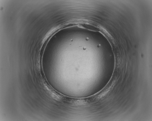 X0000067520986200604101322