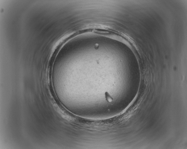 X0000067520987200604101322