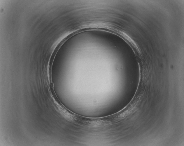 X0000067520988200604101322