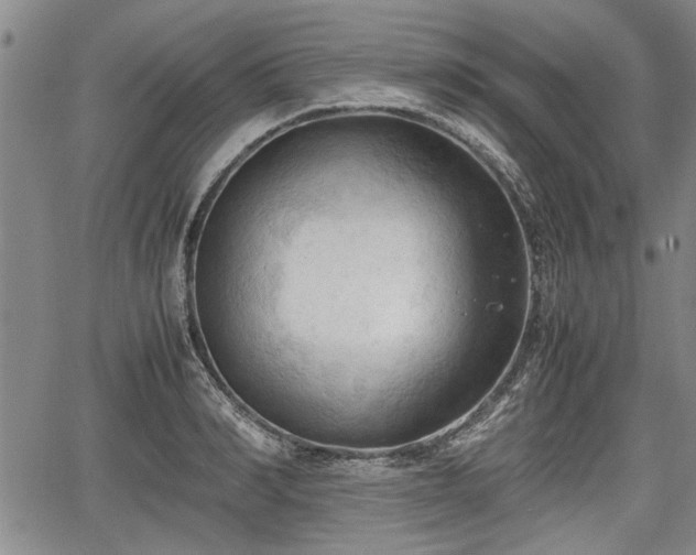 X0000067520990200604101322