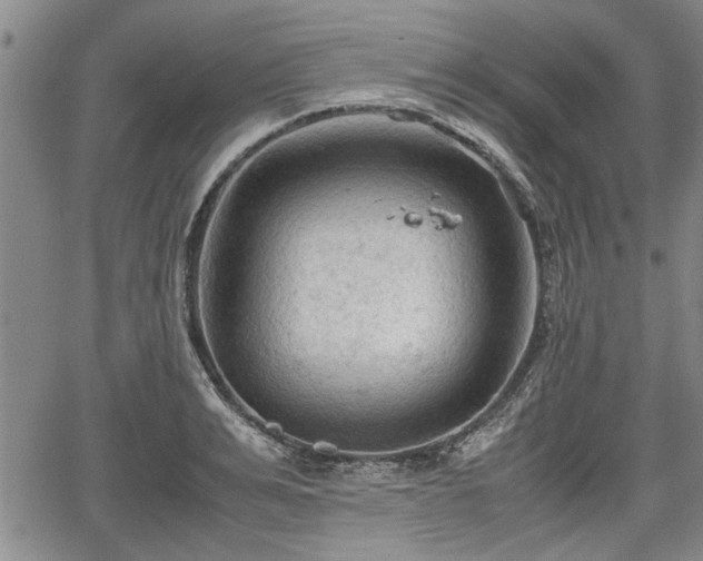 X0000067520991200604101322