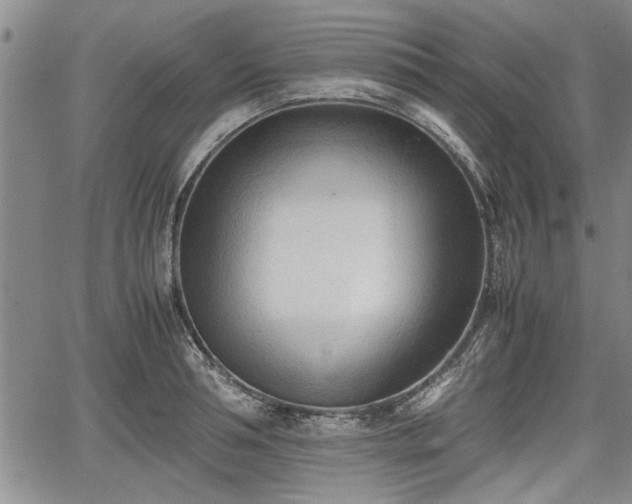 X0000067520994200604101322