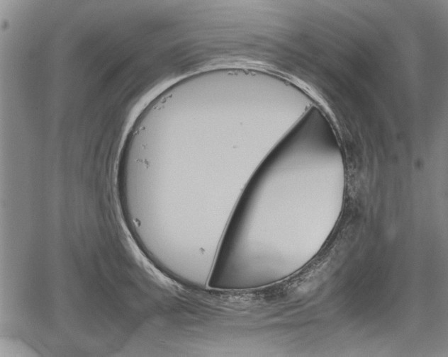 X0000067520995200604101322