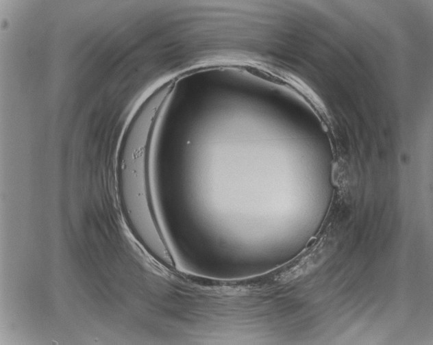 X0000067520996200604101322