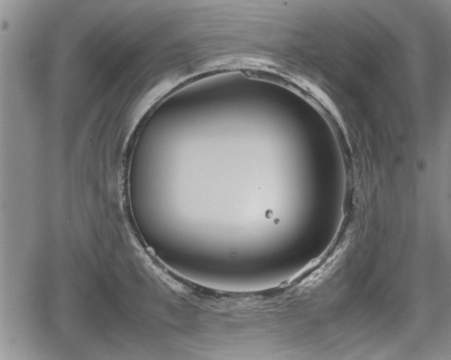 X0000067520997200604101322