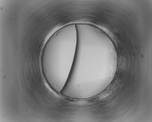 X0000067520998200604101322