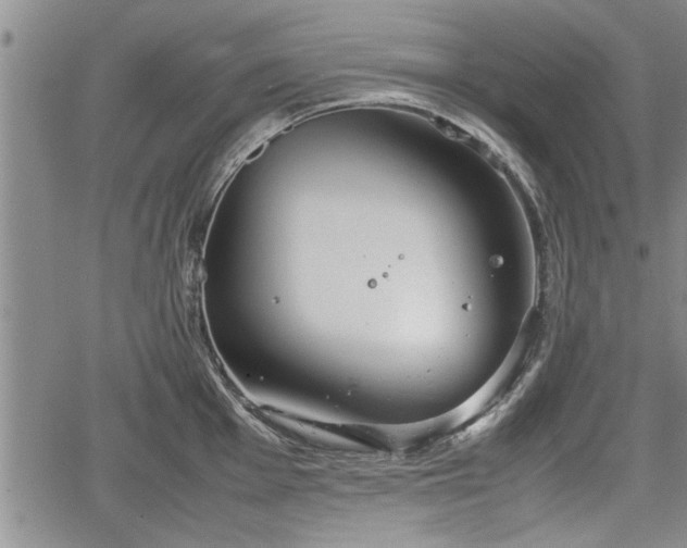 X0000067521001200604101322