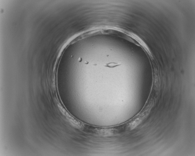 X0000067521004200604101322