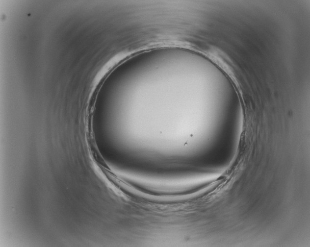 X0000067521005200604101322