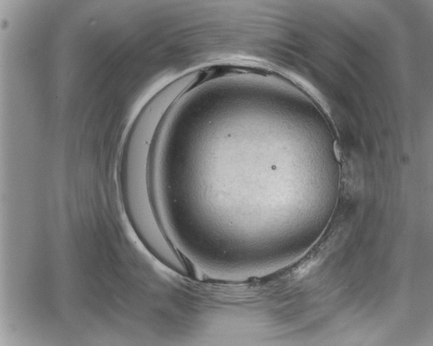 X0000067521007200604101322