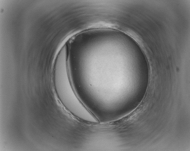 X0000067521008200604101322