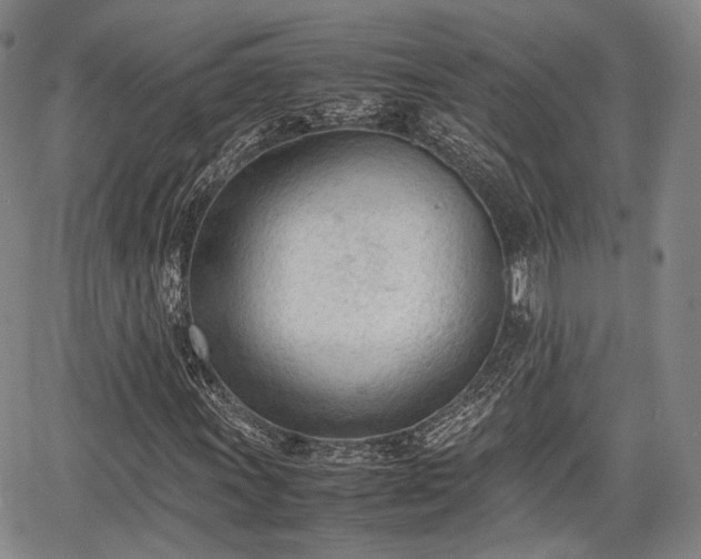 X0000067521011200604101321