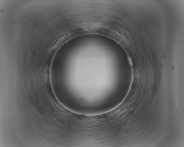 X0000067521012200604101321