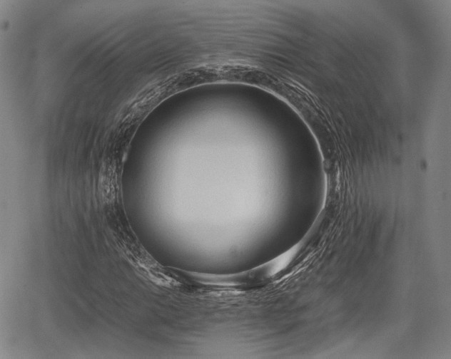 X0000067521014200604101321