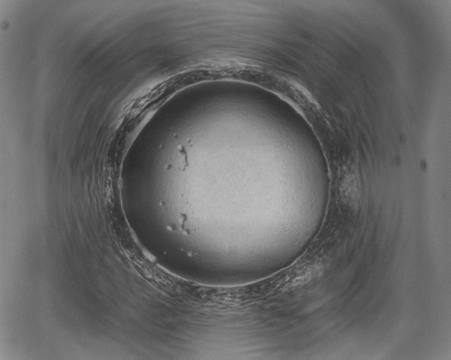 X0000067521016200604101321