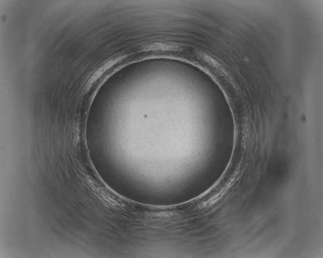 X0000067521017200604101321