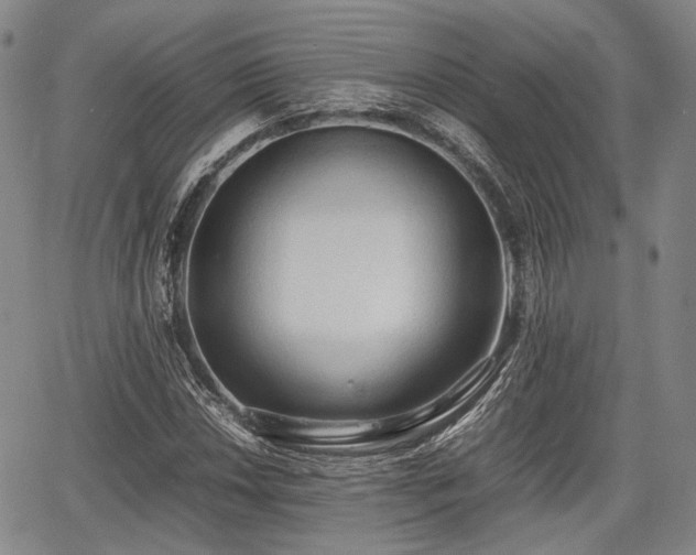 X0000067521018200604101321