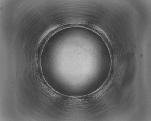 X0000067521019200604101321