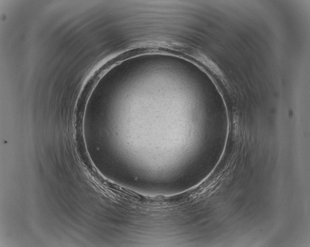 X0000067521020200604101321