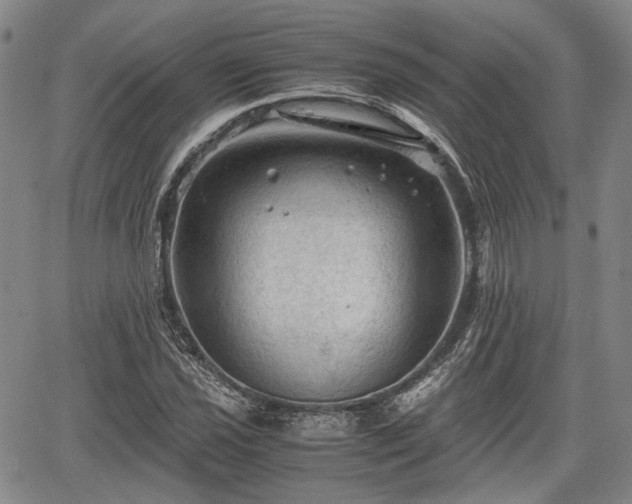 X0000067521021200604101321