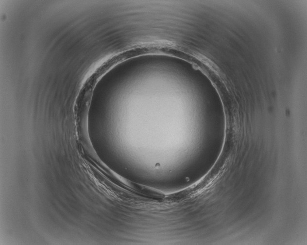 X0000067521022200604101321