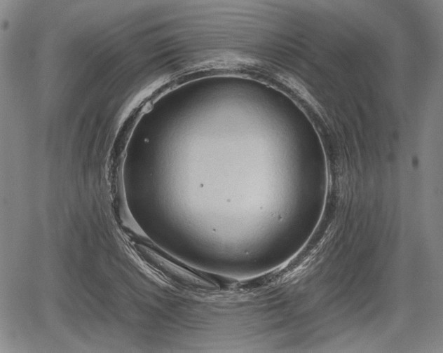 X0000067521026200604101321