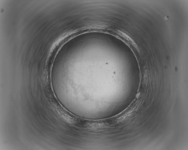 X0000067521027200604101321