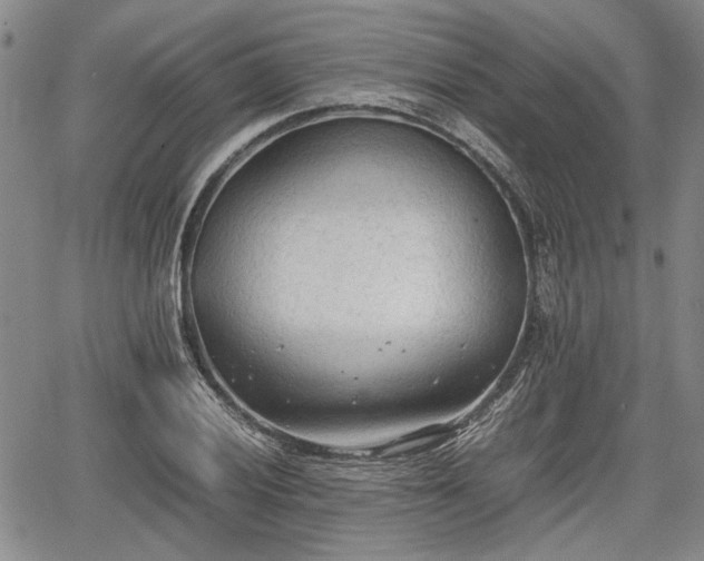 X0000067521028200604101321