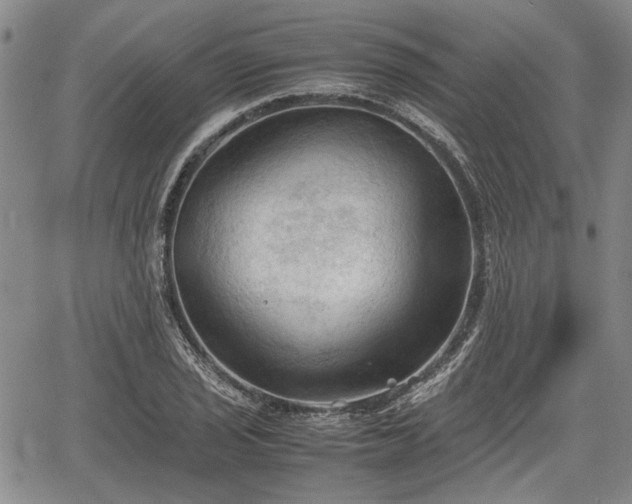 X0000067521029200604101321