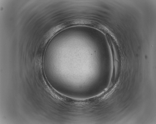 X0000067521033200604101321