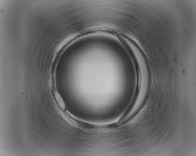 X0000067521034200604101321