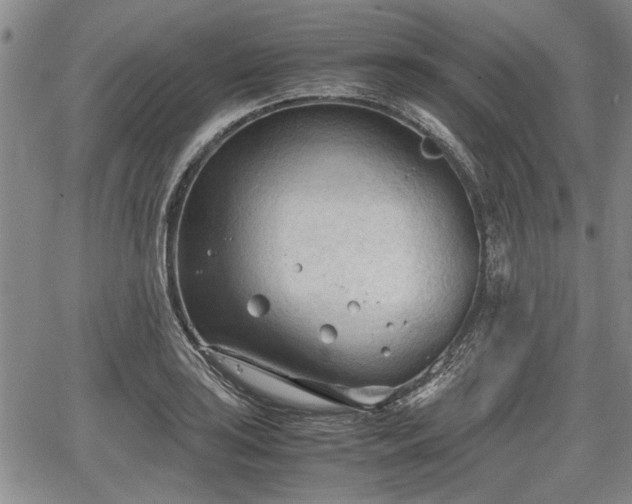 X0000067521035200604101321