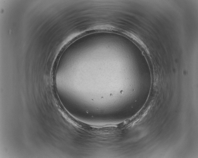 X0000067521037200604101321