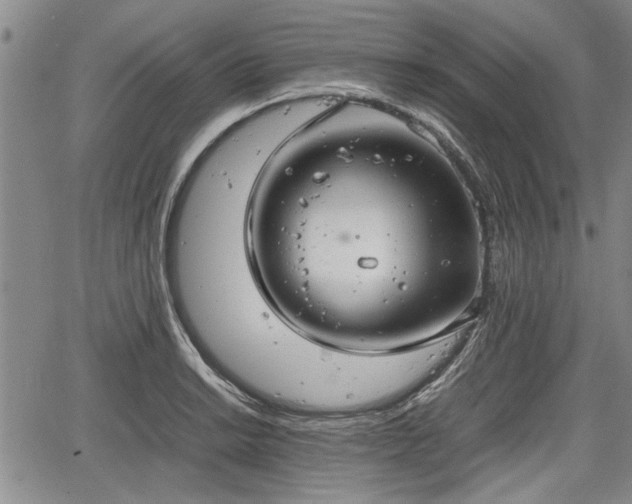 X0000067521038200604101321