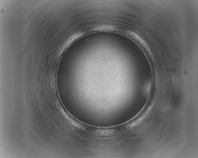 X0000067521041200604101321