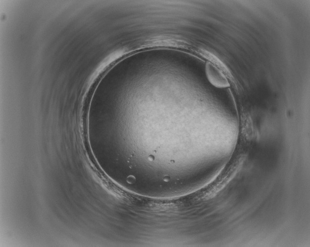 X0000067521043200604101321