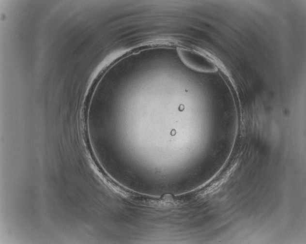 X0000067521045200604101321