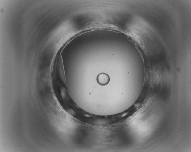 X0000067521046200604101321