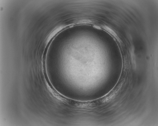 X0000067521047200604101321