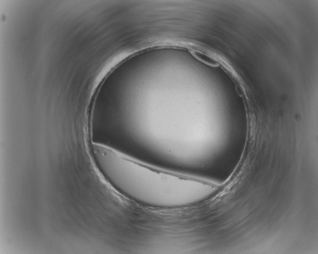 X0000067521048200604101321